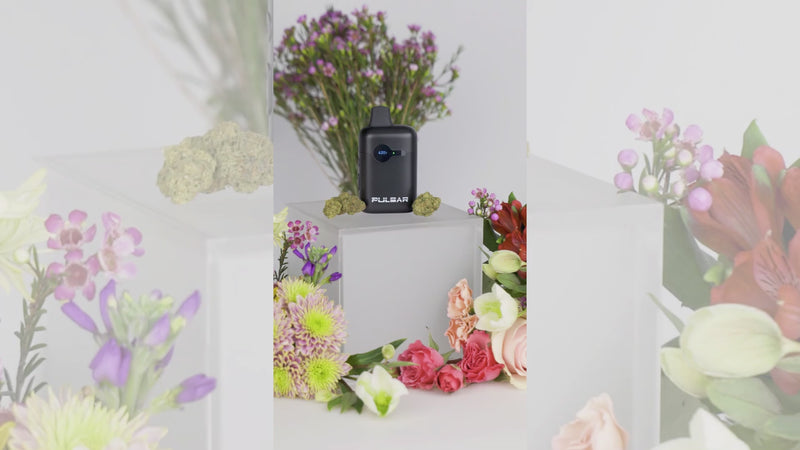 dl-flower-dry-herb-vape-bar-promo-video